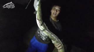 Mancing ikan sidat monster malam hari di sungai progo - lomba mancing sidat jogja 2019