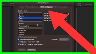 How to Insert Table of Figures in Word for Macbook (NEW UPDATE in 2023)