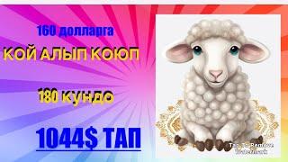 #ранчо Регистрация/депозит #овца сатып алдым 160$ га