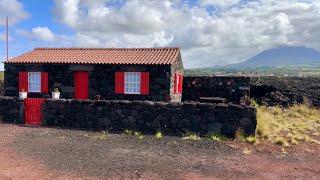 The Azores Island (Faial & Pico Island) incredibles islands