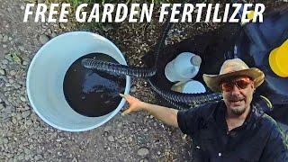 I Can't Believe How Well This Fish Pond System Works!