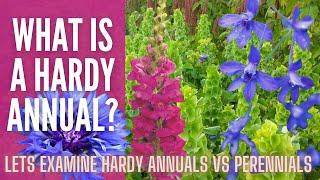 What is a Hardy Annual?   || Hardy Annual VS Perennials || What To Plant In The Fall