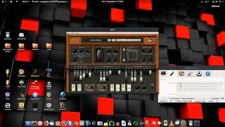 Installation Native Instruments - B4-II in Ubuntu.(Wine)