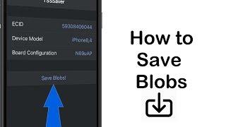 How to Save iOS 11.3 SHSH Blobs!