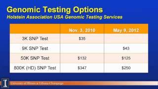 Genomic Applications in Dairy Genetics