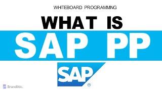 What is SAP PP Explained | Introduction to SAP PP Overview & Basics