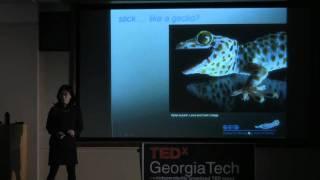 TEDxGeorgiaTech - Jeannette Yen - Biologically Inspired Design For An Interdisciplinary Education