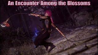 Nioh 2 | An Encounter Among the Blossom | Tengus Disciple | PS4PRO