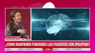 La relación entre cerebro y epilepsia - Desde el Conocimiento