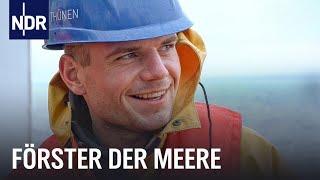 Vom Ostseefischer zum „Sea Ranger“ | Die Nordreportage | NDR Doku