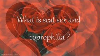 What is Scat Sex and Coprophilia ?