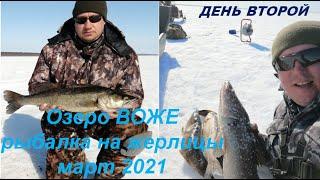 Зимняя рыбалка на озере ВОЖЕ!!! Часть вторая!!! Судак на жерлицы))) #Winter #fishing on #LakeVozhe