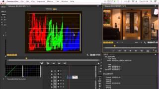 Color Tutorial 5 Removing a Color Cast RGB Parade:RGB Curves