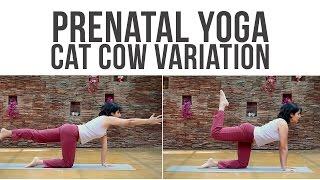 Pregnancy workout: Cat Cow variations for back - Prenatal Yoga