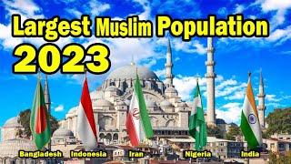 Top 10 Largest Islamic Countries In The World (2024)