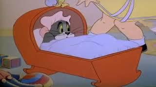 Tom and Jerry episode 12 part 2 Baby Puss
