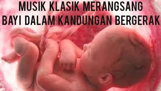 MUSIK KLASIK UNTUK IBU HAMIL MERANGSANG BAYI BERGERAK DALAM KANDUNGAN