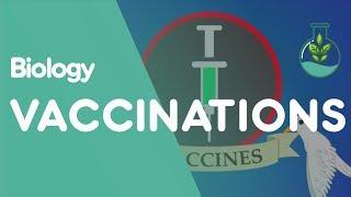 What Are Vaccinations? | Health | Biology | FuseSchool