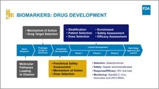 How Biomarkers Can Improve the Drug Development Process