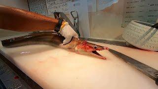 骨切り ‘Honekiri’ (Bone-cutting) of a fierce Daggertooth Pike Conger Eel , Seafood Japan (ASMR)