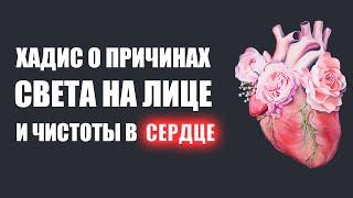 Хадис о причинах света на лице и чистоты в сердце | Шейх Абу Яхья Крымский