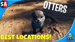 How To Find & Tame A Otter | Ark Survival Ascended