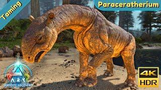 ARK Survival Ascended : Tame a Paraceratherium