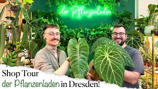 Pflanzen Shop Tour | derPflanzenladen | Dresden