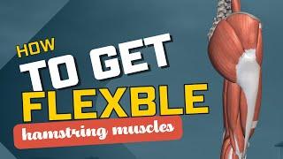 HOW to Get FLEXIBLE hamstring muscles ?
