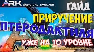 ARK Survival Evolved Приручение Птеродактиля на 10 уровне!