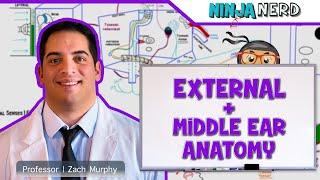 Special Senses | External & Middle Ear Anatomy