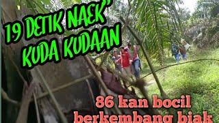 BOCIL BERKEMBANG BIAK DI MOTOR || 19 DETIK MAEN KUDA KUDAAN di 86 sama tukang cari rumput