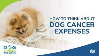 How to Think About Dog Cancer Expenses | Dr. Lauren Barrow