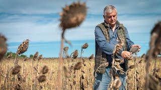 Ukraine: Farming During Wartime