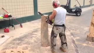 Chainsaw art by John Gage