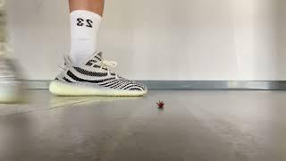 yeezy crush bug