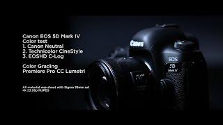 Canon EOS 5D Mark IV video color test (Cinestyle vs EOSHD)