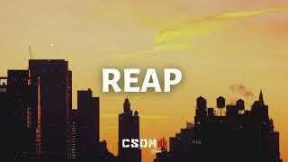 Reap - Nas Type Beat | Smooth Chill Old School Melodic Boom Bap Type Beat 2022
