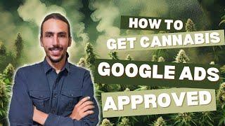 How to Get Your Cannabis Google Ads Approved | An SOP Masterclass