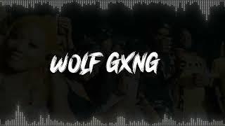 Yvng Boss - Wolf Gxng (Visualizer)