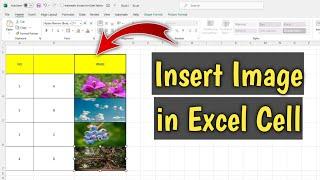 How to insert image in excel cell