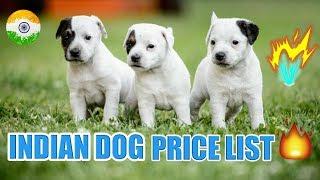 Indian Dog Price List In India | in Hindi | dog price list