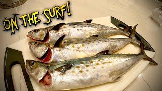 Surf Fishing VA BEACH for Spanish Mackerel!!! Super Fast Retrieve! (Catch And Cook)