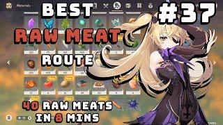 Best and Easiest Raw Meat Route | Genshin Impact #37