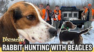 DISCOVERING | Rabbit Hunting with Beagles