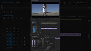 Using Technical LUTs in Premiere Pro | Technical LUTs | Premiere pro tutorial