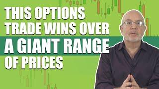 The Giant Runway of Options Trades in High Volatility Markets