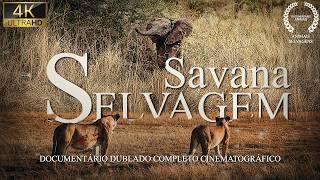 SAVANA AFRICANA | A Batalha Épica dos Predadores Supremos | Documentário Animais