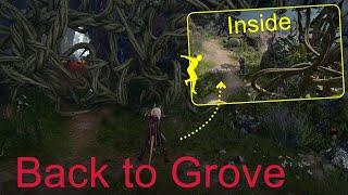 Baldur's Gate 3: What's inside the Grove after Ritual lock out?