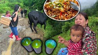 Herding cows & bullocks. Me, Sano Dima & Saya Hang || Chatpate सानो दिमा र साया हाङ संग गोठालो गरेको